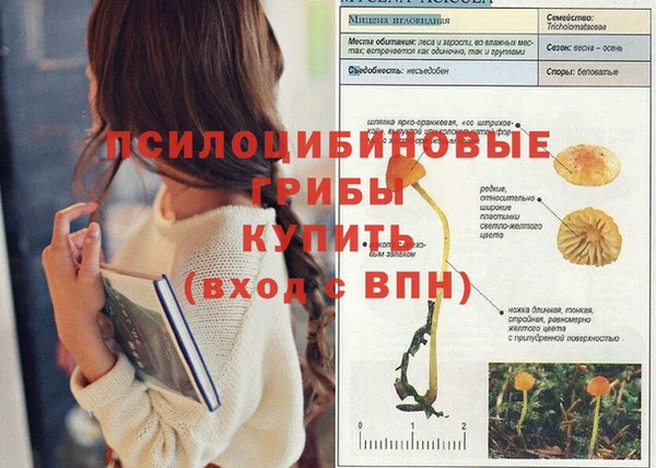 прущие грибы Арсеньев